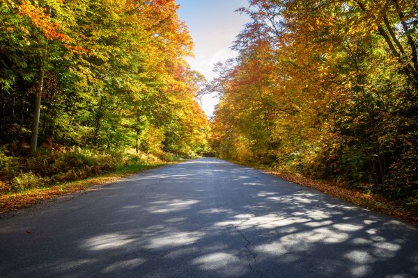 Cost of Blacktop Replacement in Shingle Springs